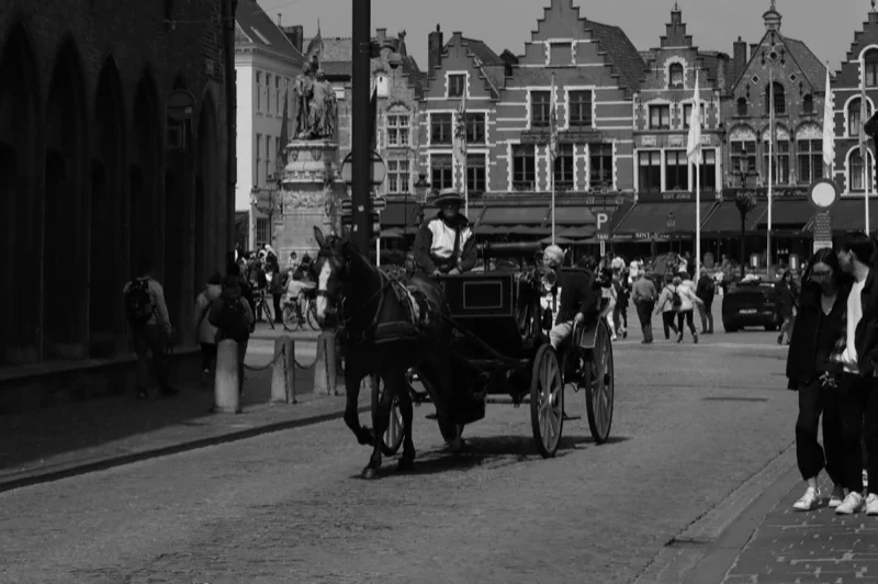 a horse carriage in a city — illustrative editorial photography, not a verified location